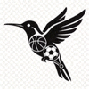 蜂鸟体育 Logo